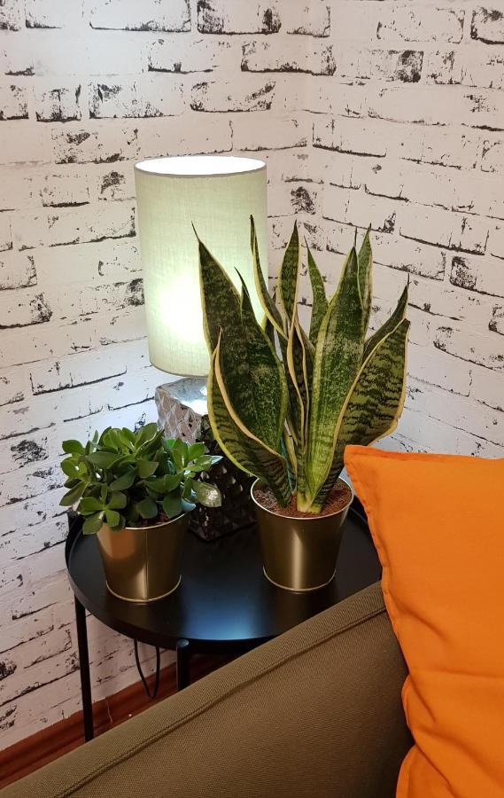 Apartman I Studio Apartman Majoli Kukuljanovo Ngoại thất bức ảnh